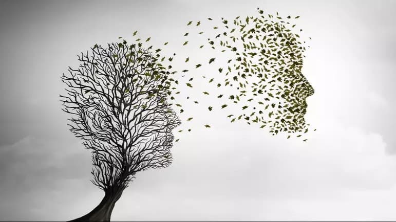 పునర్జన్మ